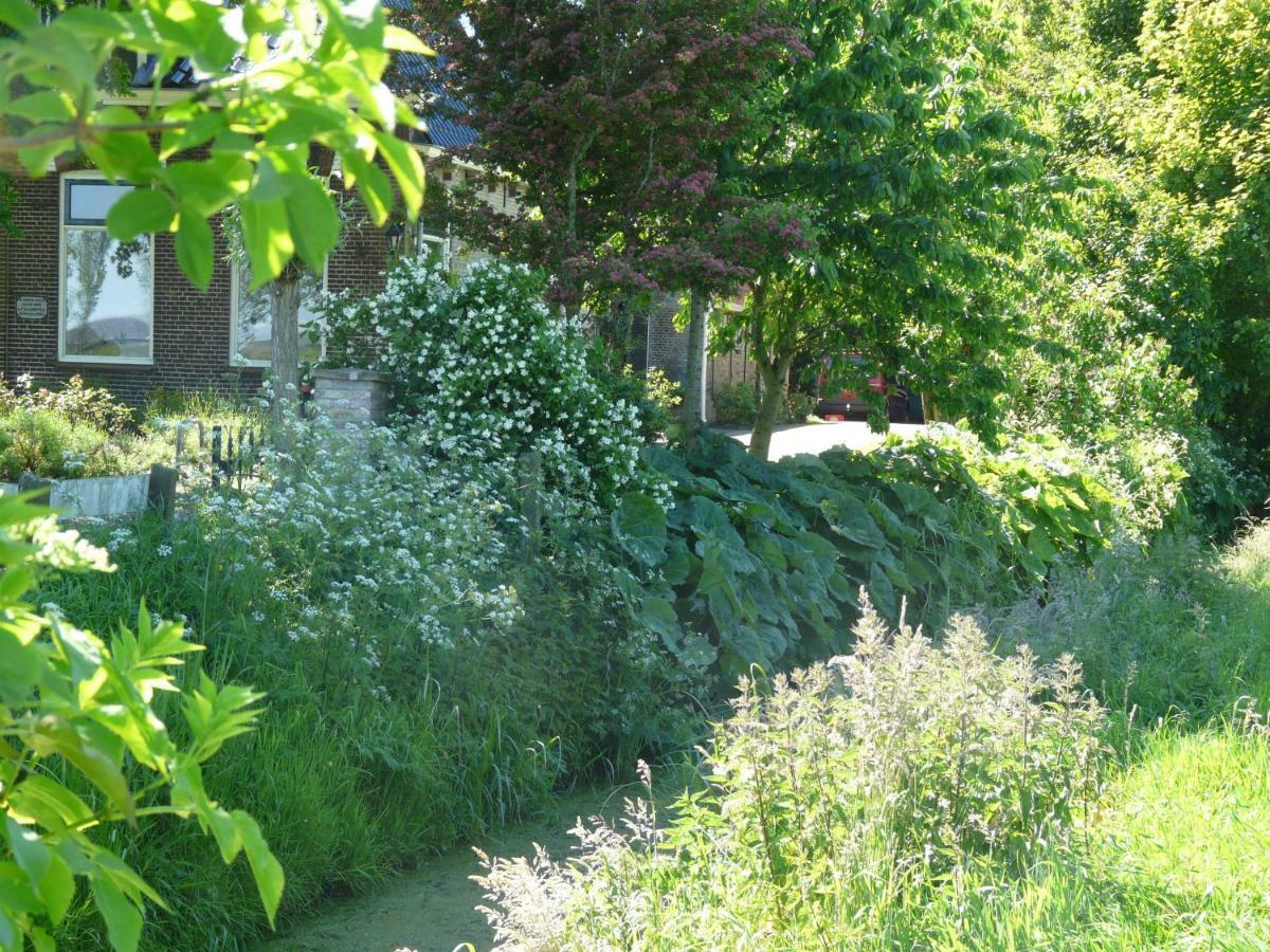 Bed and Breakfast De Wylgepleats Jutrijp Exterior foto